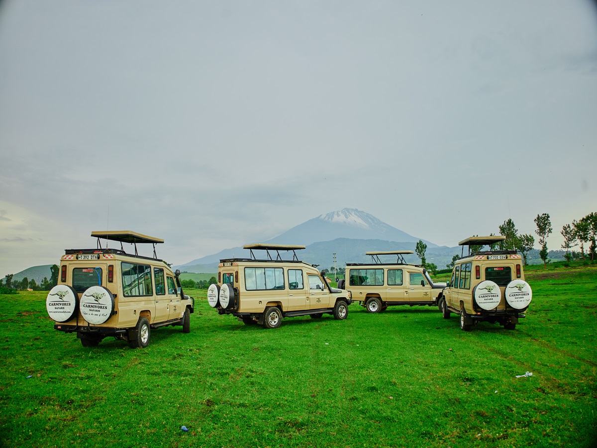 7 Exceptional Experiences with Carnivore Safaris
