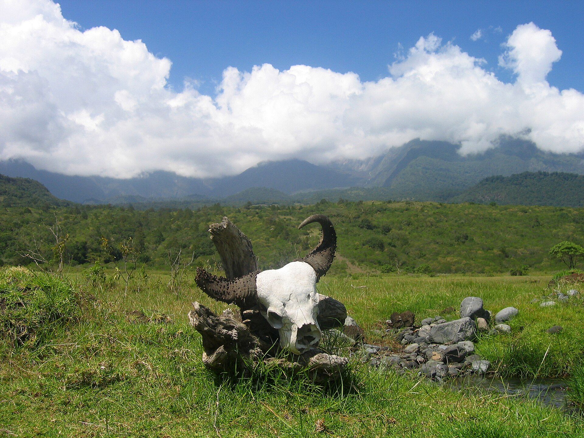 Mount Meru