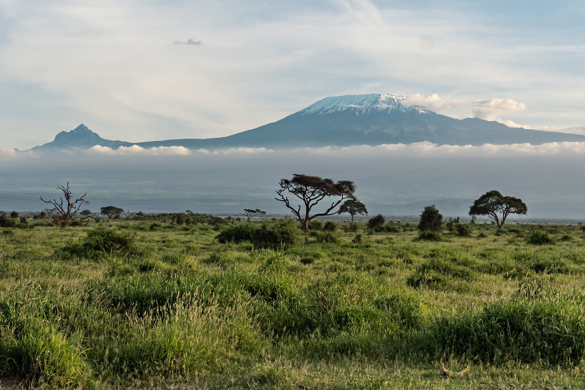 Amboseli National Park in Kenya