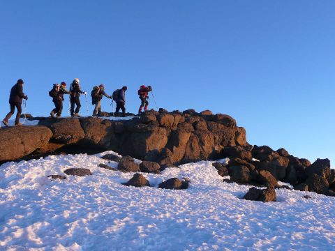 kilimanjaro