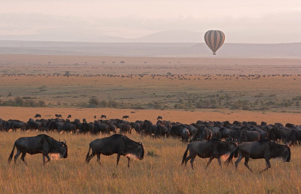 serengeti