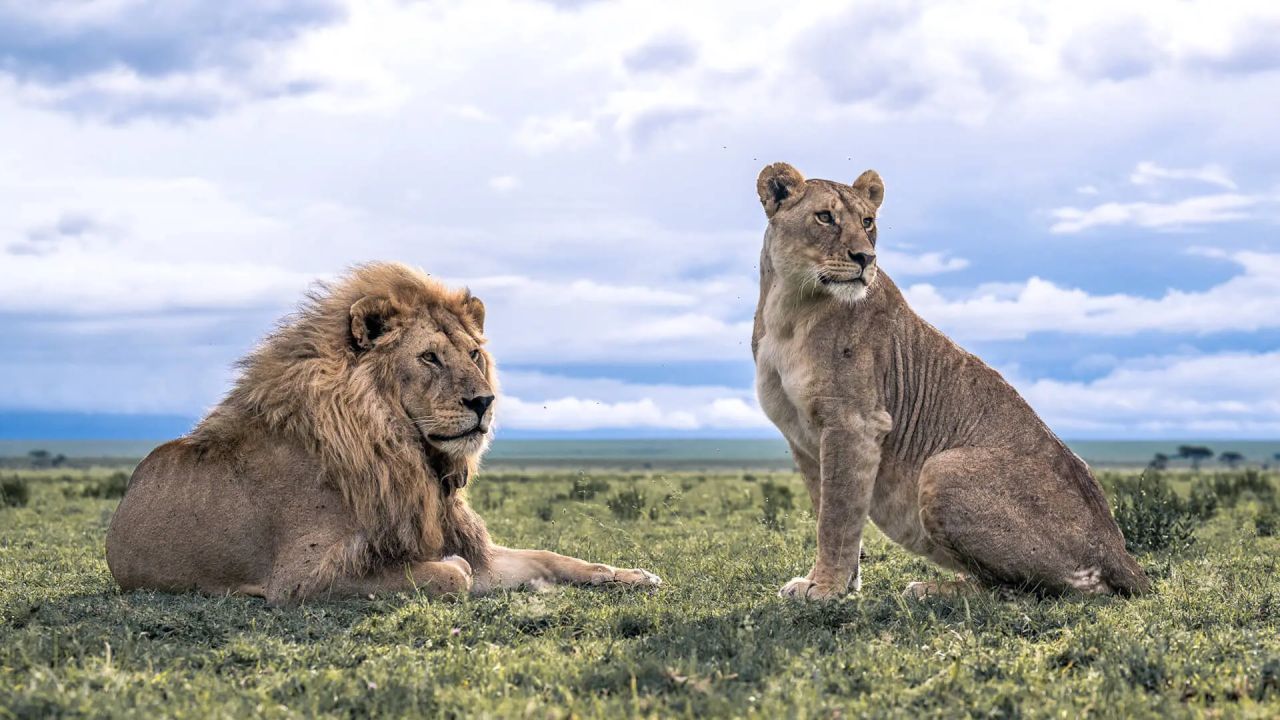 KENYA
