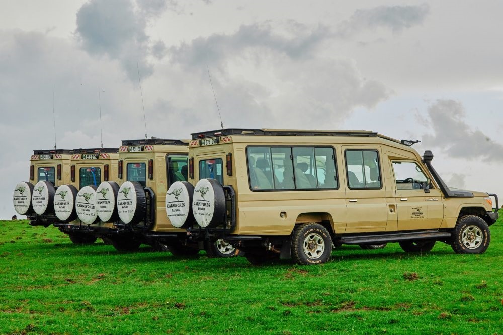 Carnivores Safaris