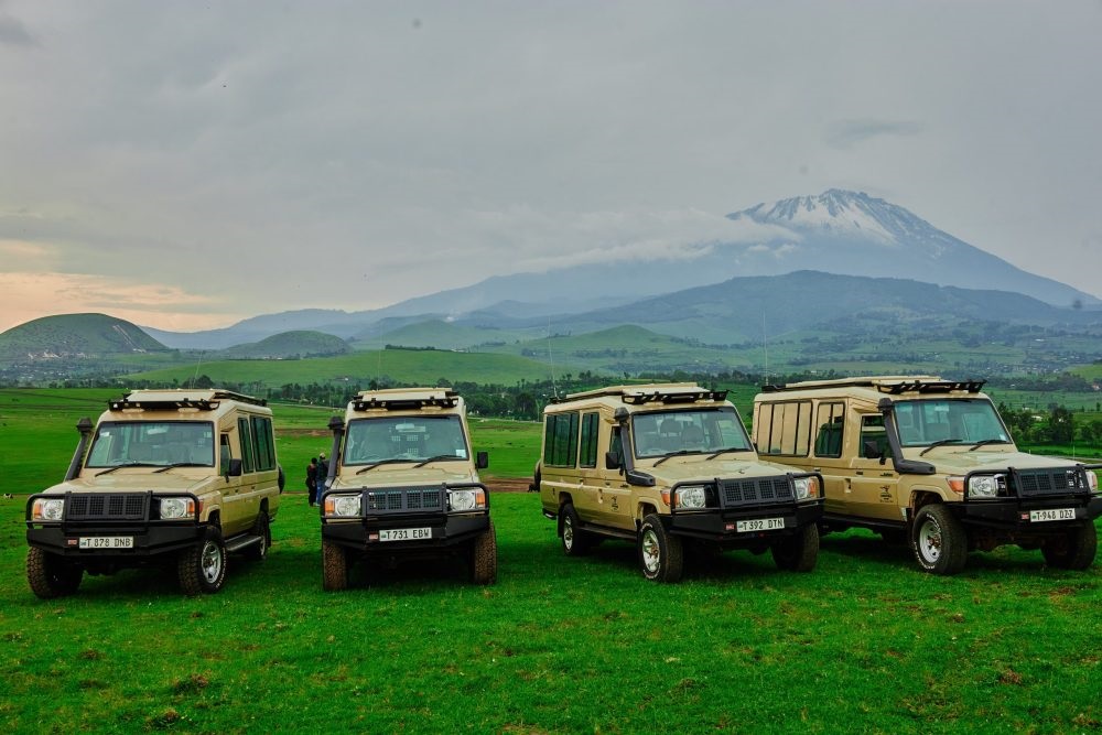Carnivores Safaris
