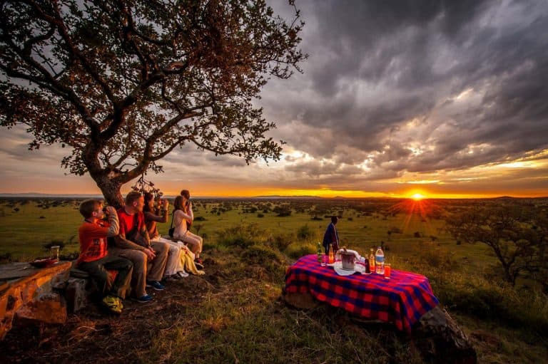 Luxury Family Safari Tanzania,10 Days